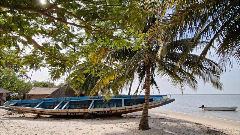 raid 4X4 Afrique de l'ouest Sénégal Guinée Conakry